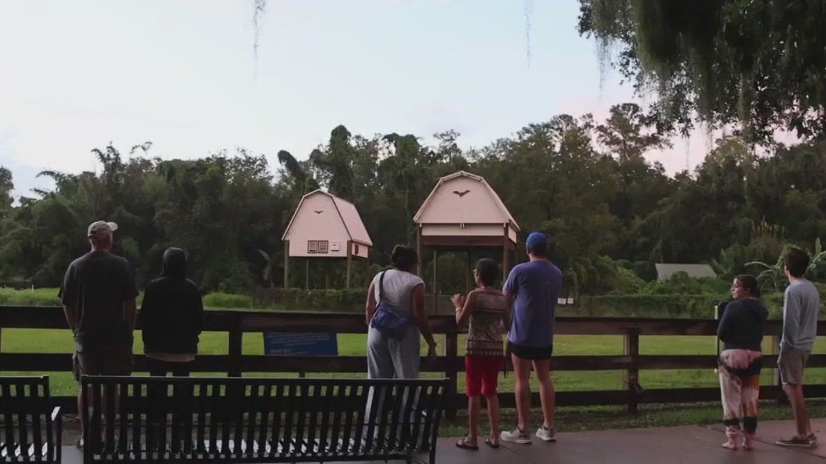 Bat houses at the University of Florida